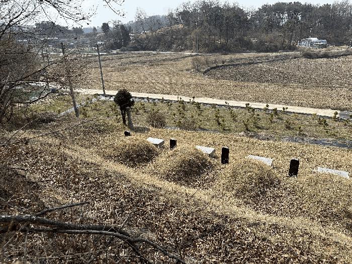세종특별자치시 부강면 산수리 216-4 임야 경매 사진 14