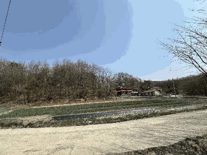 세종특별자치시 부강면 산수리 216-4 임야 경매 사진 20