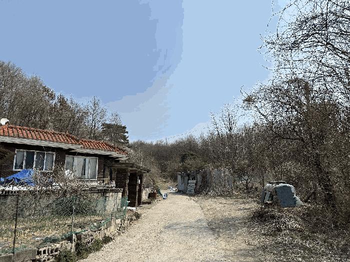 세종특별자치시 부강면 산수리 216-4 임야 경매 사진 21