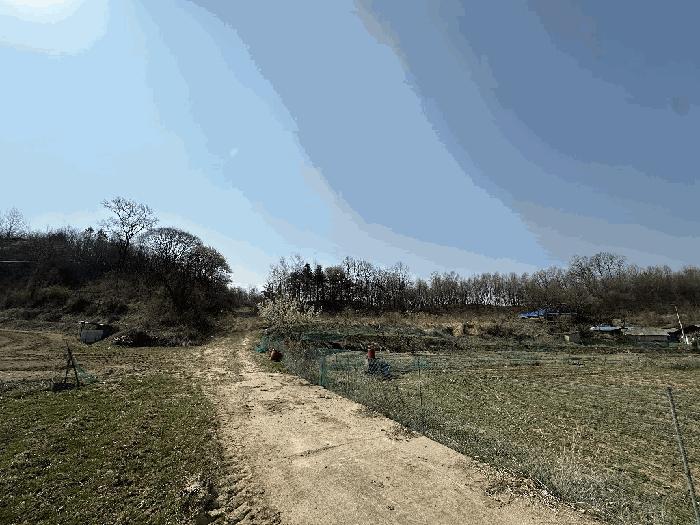 세종특별자치시 부강면 산수리 216-4 임야 경매 사진 22