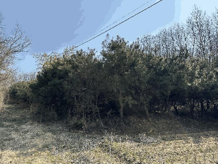 세종특별자치시 부강면 산수리 216-4 임야 경매 사진 23
