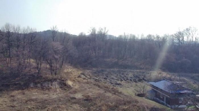 세종특별자치시 부강면 산수리 216-4 임야 경매 사진 35