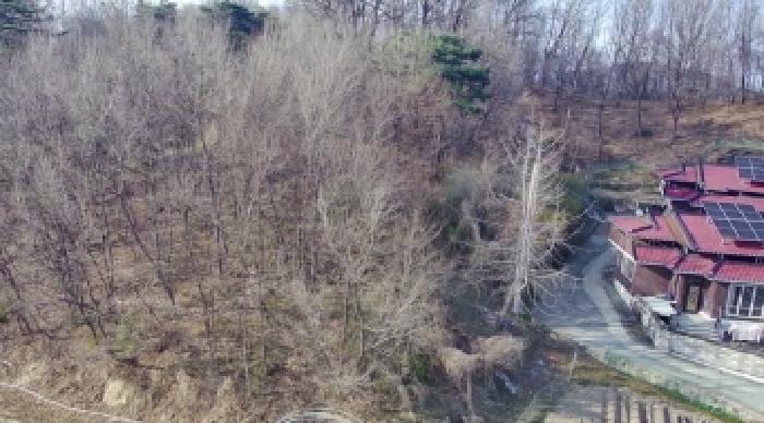 세종특별자치시 부강면 산수리 216-4 임야 경매 사진 46