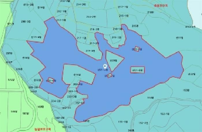세종특별자치시 부강면 산수리 216-4 임야 경매 사진 68