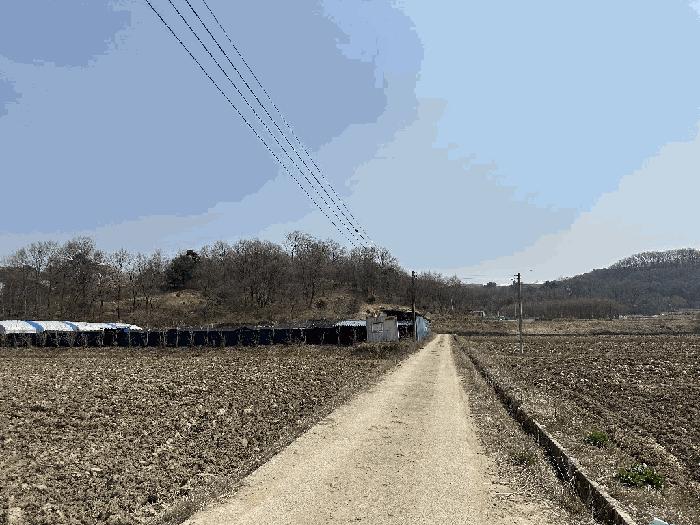 세종특별자치시 부강면 산수리 216-4 임야 경매 사진 7