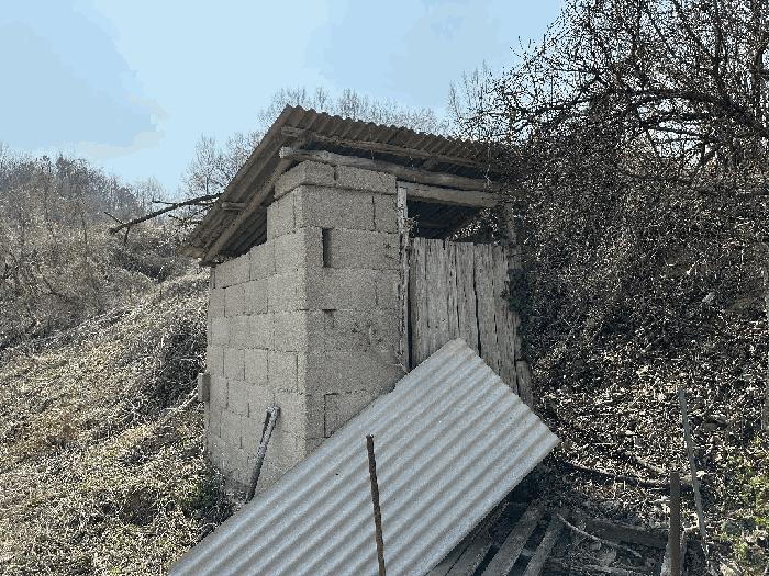 세종특별자치시 부강면 산수리 216-4 임야 경매 사진 9