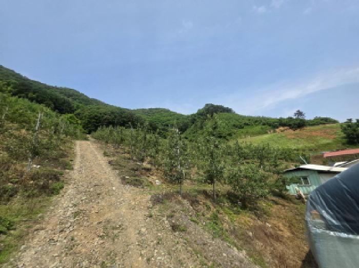 충청북도 제천시 청풍면 연론리 466 주택 경매 사진 17