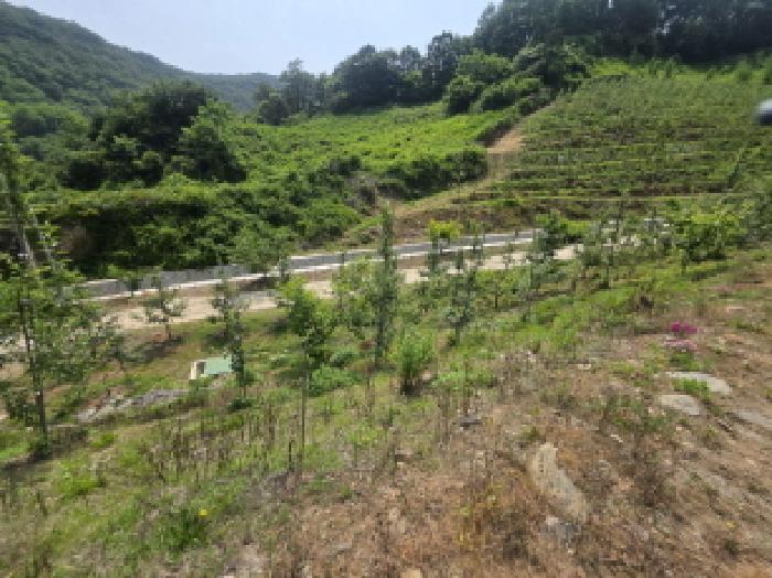 충청북도 제천시 청풍면 연론리 466 주택 경매 사진 28
