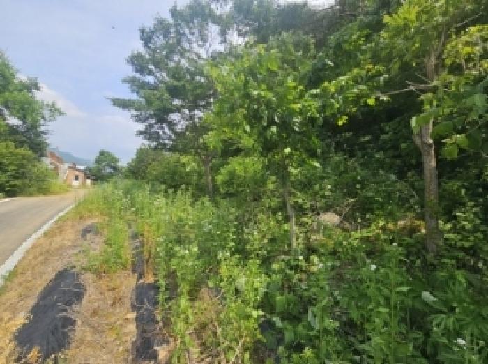 충청북도 단양군 영춘면 동대리 722-3 주택 경매 사진 25
