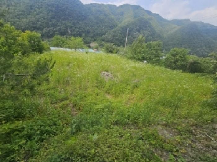 충청북도 단양군 영춘면 동대리 722-3 주택 경매 사진 27