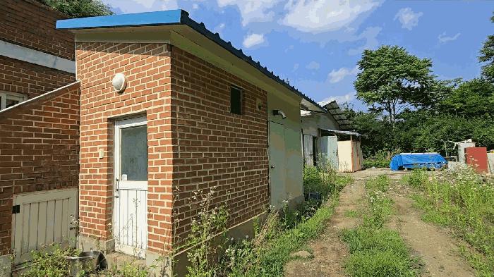 충청북도 단양군 영춘면 동대리 722-3 주택 경매 사진 3