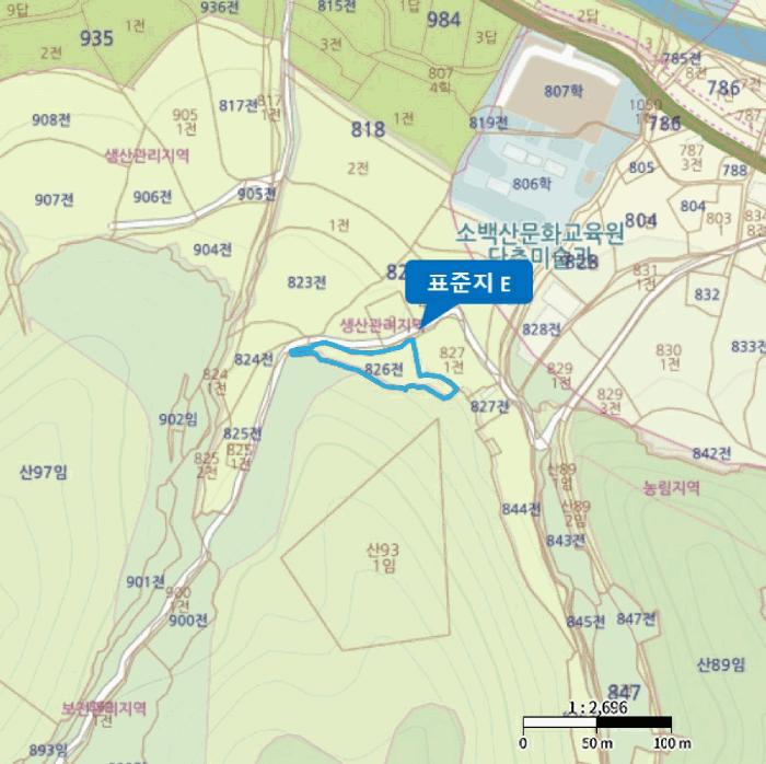 충청북도 단양군 영춘면 동대리 722-3 주택 경매 사진 39