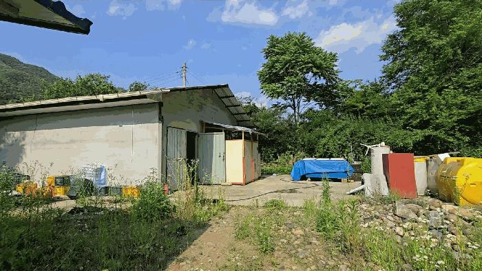 충청북도 단양군 영춘면 동대리 722-3 주택 경매 사진 7