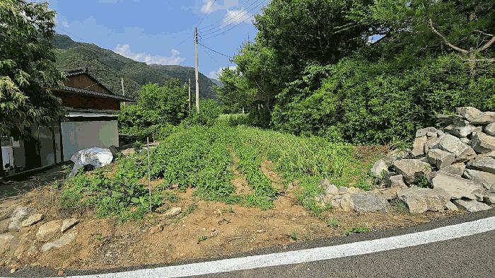 충청북도 단양군 영춘면 동대리 722-3 주택 경매 사진 8