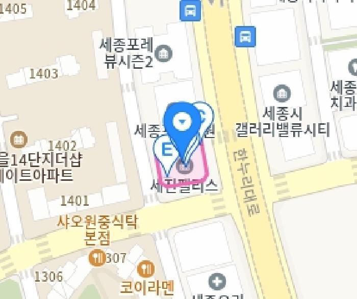 세종특별자치시 나성동 739 세진팰리스 8층807호 도시형생활주택 경매 사진 16