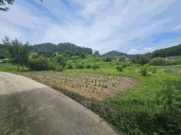 충청북도 제천시 전