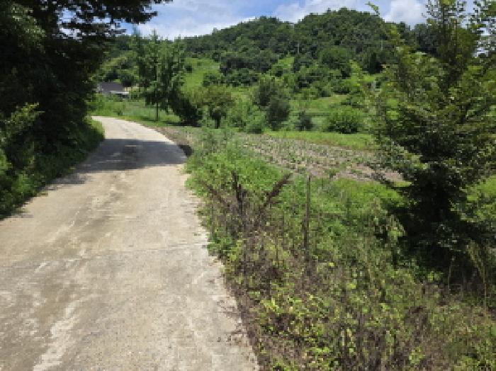 충청북도 제천시 수산면 내리 396-2 전 경매 사진 18