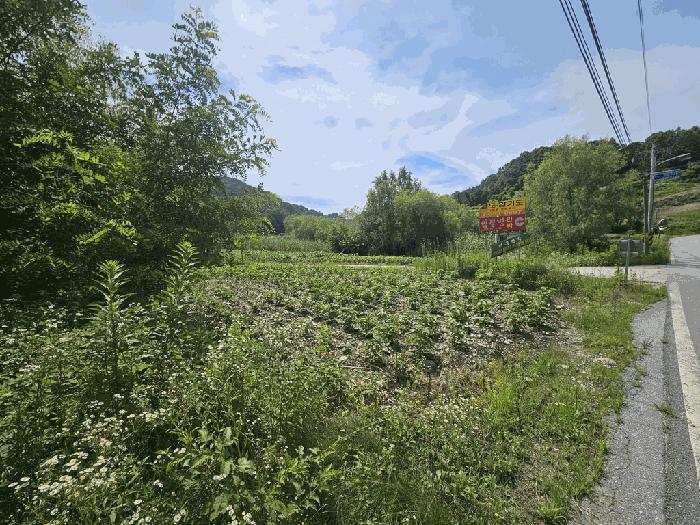 충청북도 제천시 수산면 내리 396-2 전 경매 사진 19
