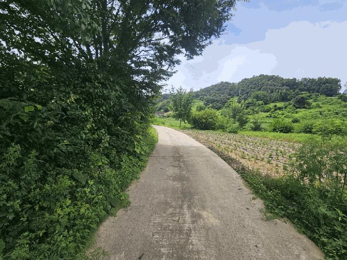 충청북도 제천시 수산면 내리 396-2 전 경매 사진 4