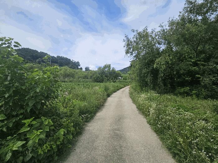 충청북도 제천시 수산면 내리 396-2 전 경매 사진 6