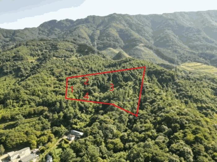 충청북도 단양군 적성면 하원곡리 106-2 임야 경매 사진 3