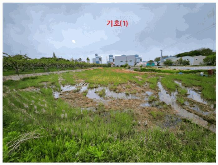 충청남도 천안시 서북구 성환읍 율금리 475-1 답 경매 사진 1