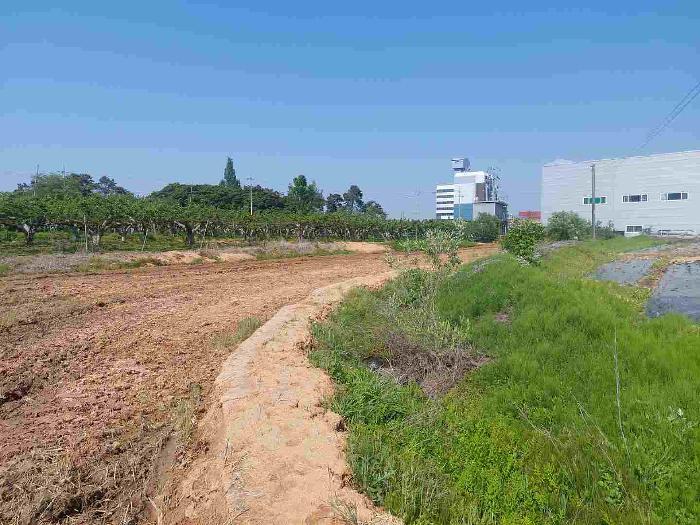 충청남도 천안시 서북구 성환읍 율금리 475-1 답 경매 사진 12