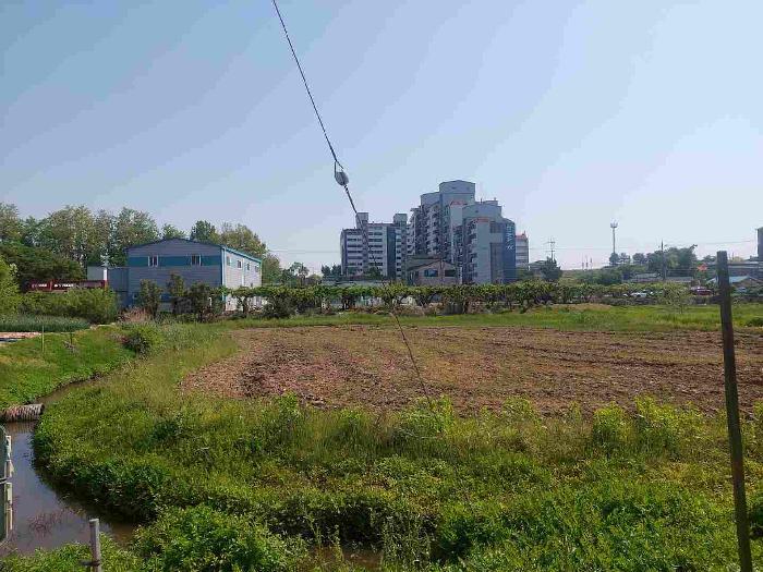 충청남도 천안시 서북구 성환읍 율금리 475-1 답 경매 사진 16