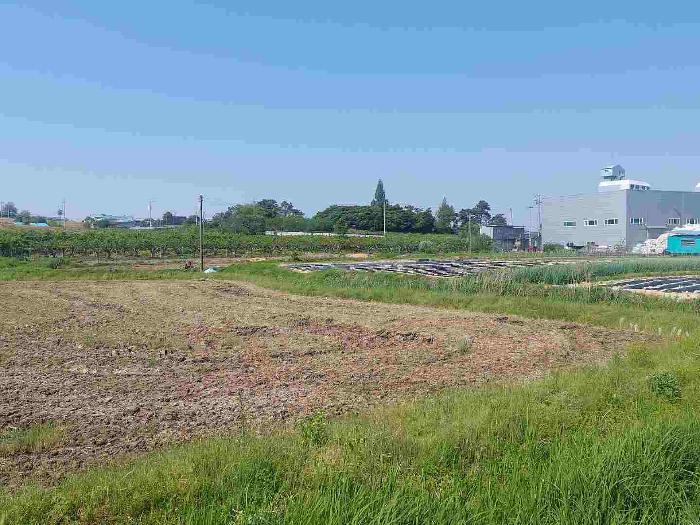충청남도 천안시 서북구 성환읍 율금리 475-1 답 경매 사진 23