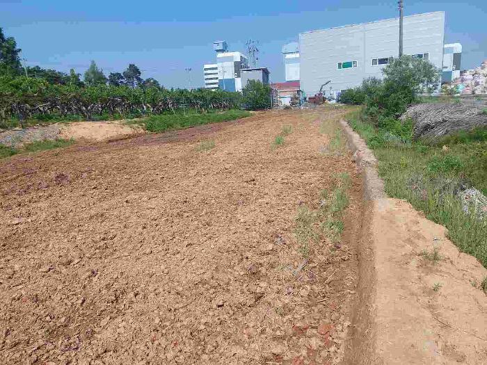 충청남도 천안시 서북구 성환읍 율금리 475-1 답 경매 사진 7