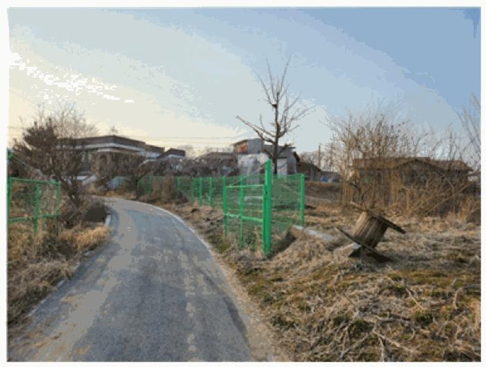 충청남도 아산시 선장면 대흥리 297-2 전 경매 사진 1
