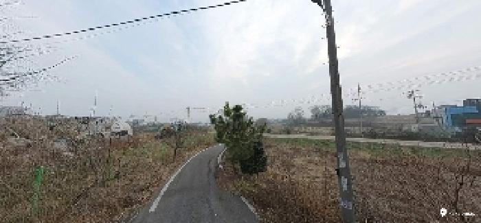 충청남도 아산시 선장면 대흥리 297-2 전 경매 사진 12