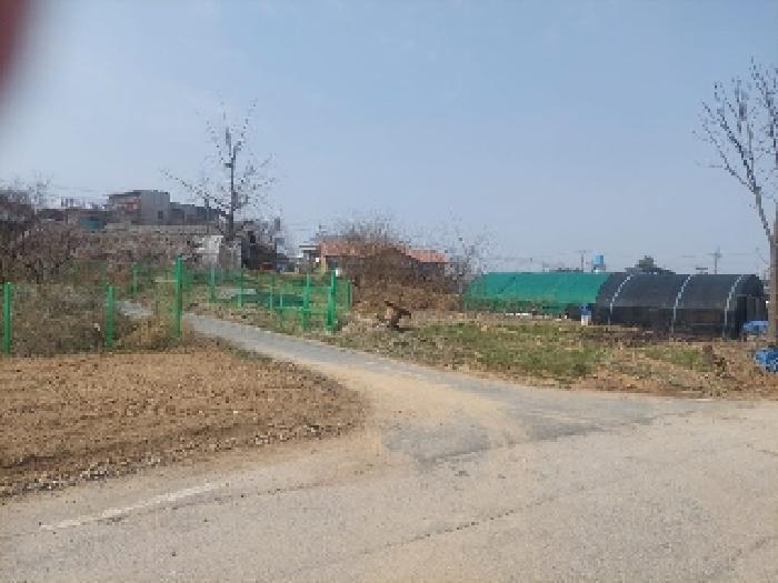 충청남도 아산시 선장면 대흥리 297-2 전 경매 사진 13
