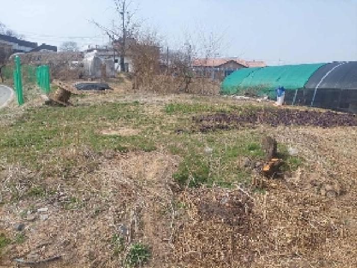 충청남도 아산시 선장면 대흥리 297-2 전 경매 사진 14