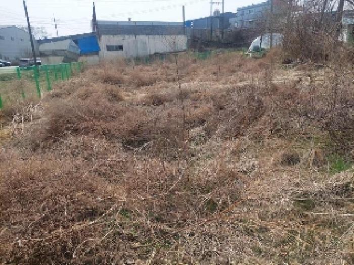 충청남도 아산시 선장면 대흥리 297-2 전 경매 사진 16