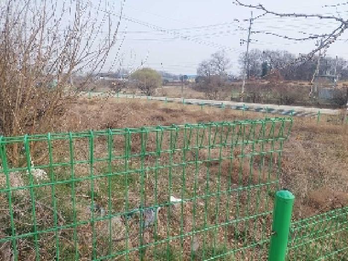 충청남도 아산시 선장면 대흥리 297-2 전 경매 사진 18