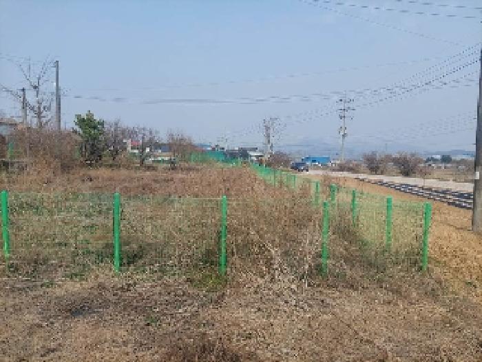 충청남도 아산시 선장면 대흥리 297-2 전 경매 사진 19