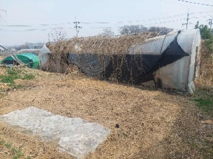 충청남도 아산시 선장면 대흥리 297-2 전 경매 사진 20