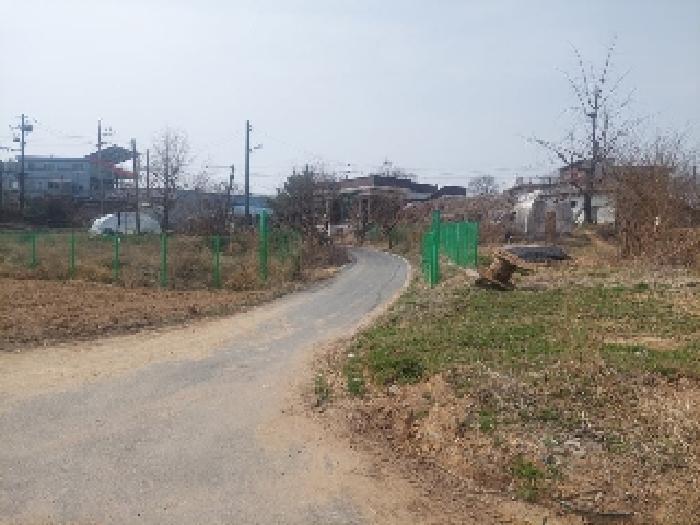 충청남도 아산시 선장면 대흥리 297-2 전 경매 사진 7