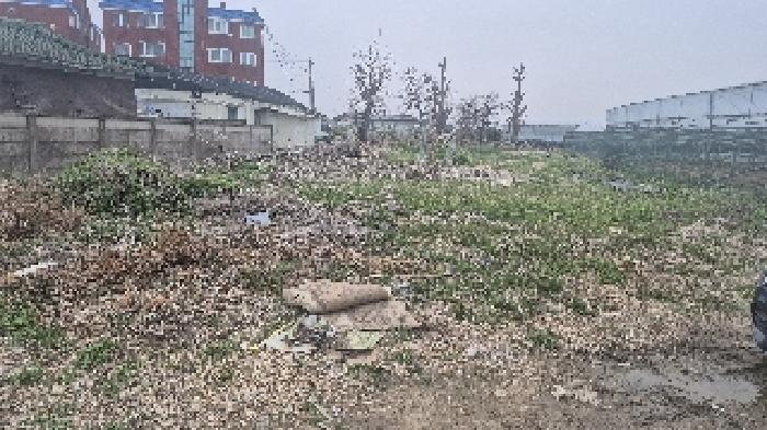 충청남도 천안시 서북구 입장면 상장리 109-2 대지 경매 사진 11