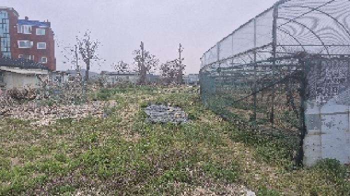 충청남도 천안시 서북구 입장면 상장리 109-2 대지 경매 사진 12