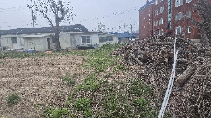충청남도 천안시 서북구 입장면 상장리 109-2 대지 경매 사진 14