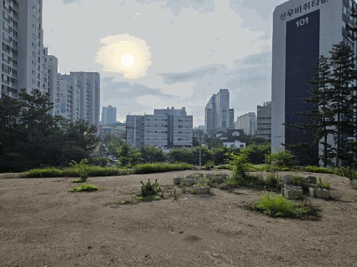경상북도 포항시 북구 장성동 산154-3 임야 경매 사진 5