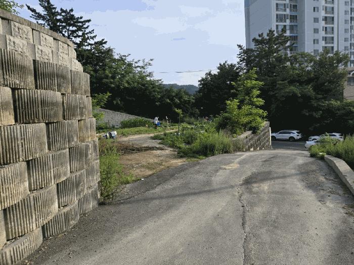 경상북도 포항시 북구 장성동 산154-3 임야 경매 사진 7