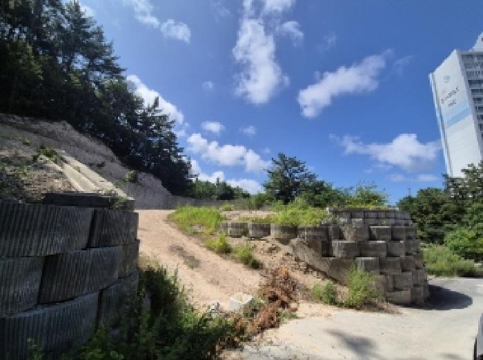 경상북도 포항시 북구 장성동 산154-3 임야 경매 사진 9