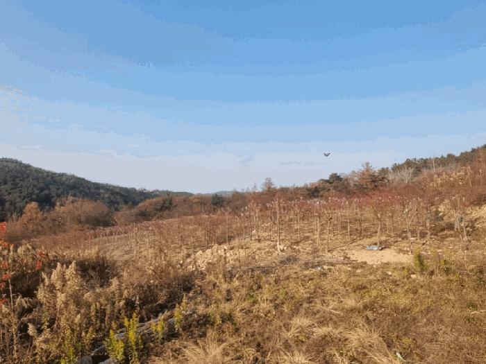 전북 임실군 답