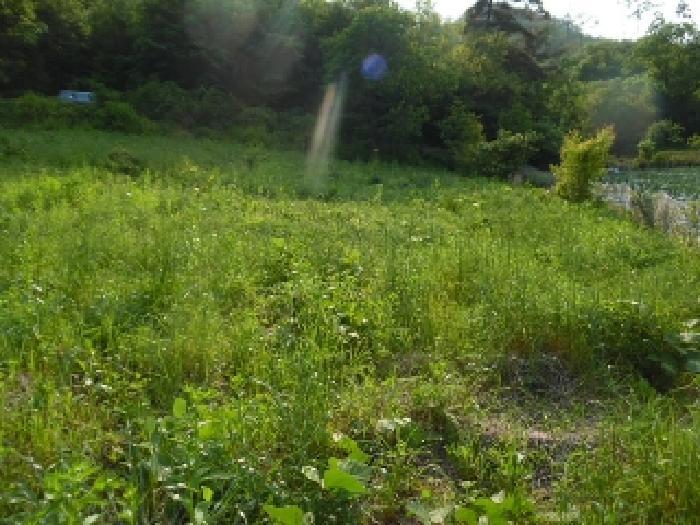 전북특별자치도 진안군 부귀면 거석리 356 전 경매 사진 18