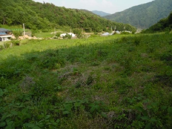 전북특별자치도 진안군 부귀면 거석리 356 전 경매 사진 19