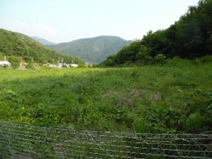 전북특별자치도 진안군 부귀면 거석리 356 전 경매 사진 21