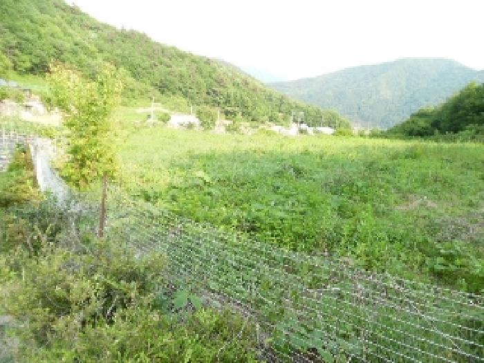 전북특별자치도 진안군 부귀면 거석리 356 전 경매 사진 22